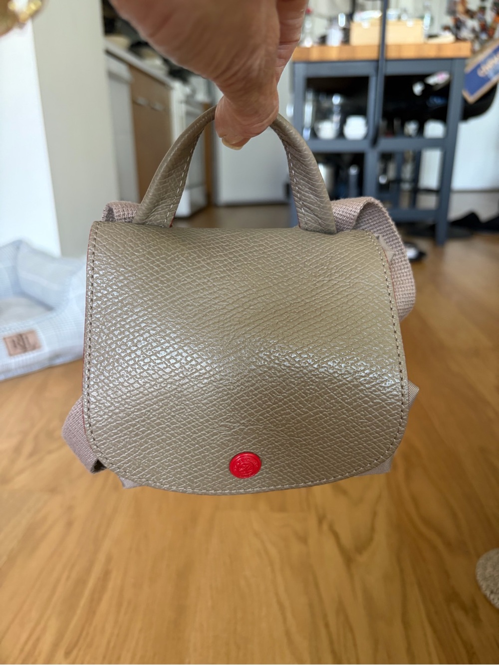 Longchamp Beige Mini Backpack with Red Trim - Picture 6 of 10